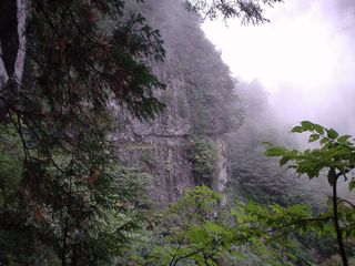 DSC04453