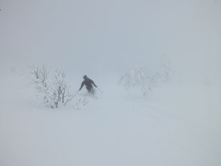 DSCF3733 DSCF3733